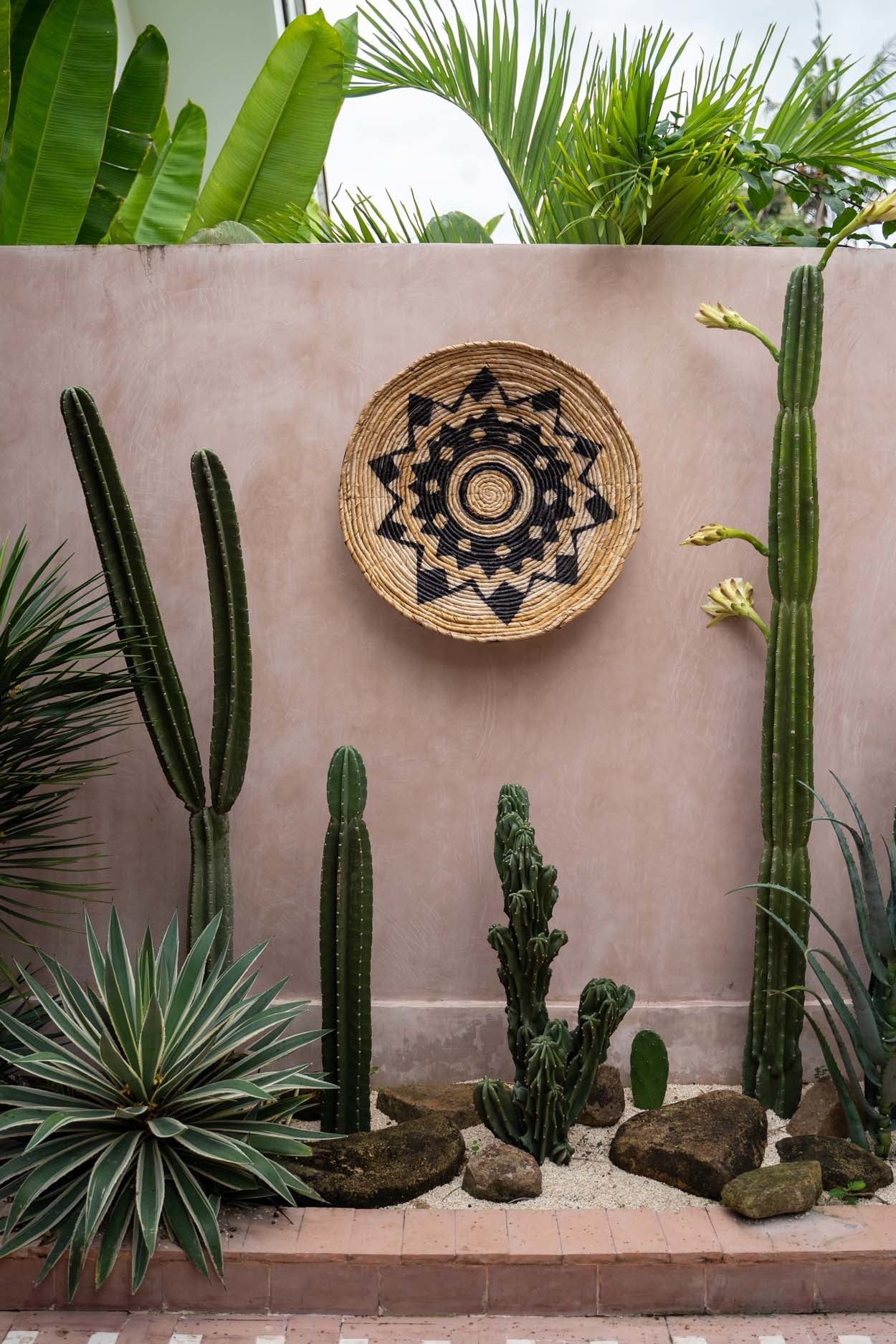 Den aztekiske plade - M