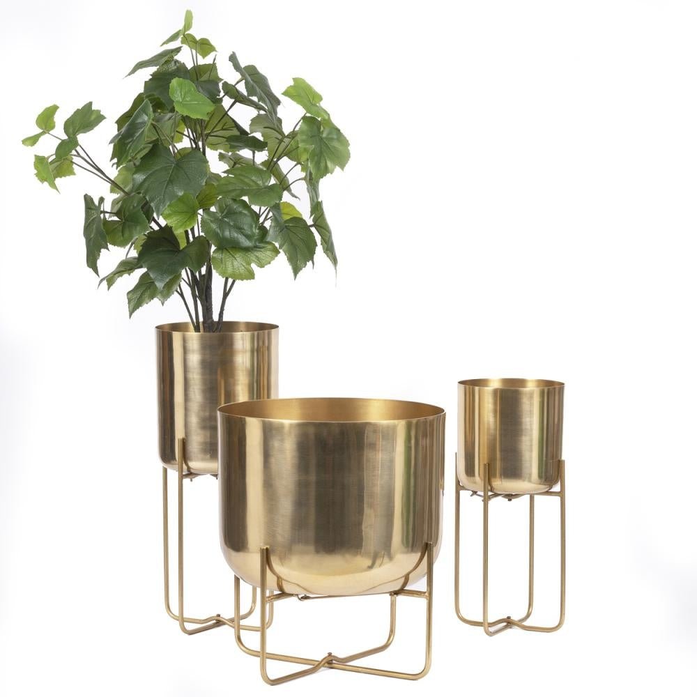Brass planters on foot - Brass - M