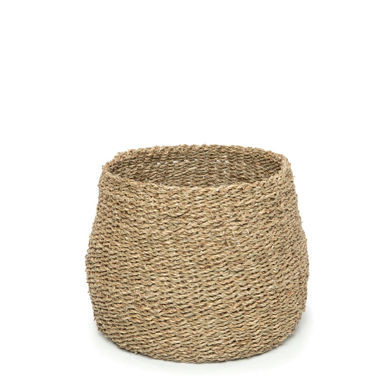 De Vung Lamb Male - Natural - M